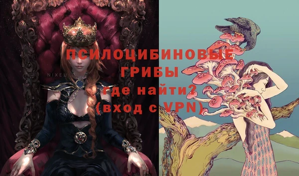 дурь Нефтегорск
