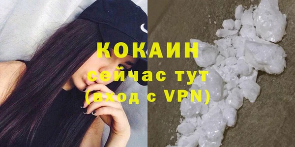 прущие грибы Нея