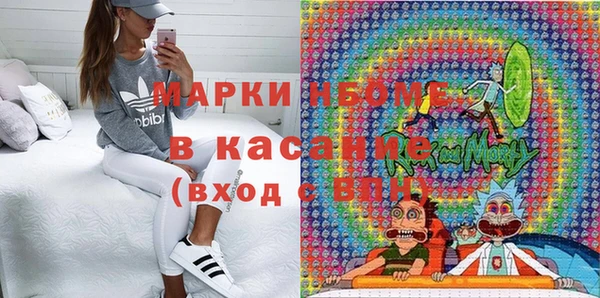 прущие грибы Нея