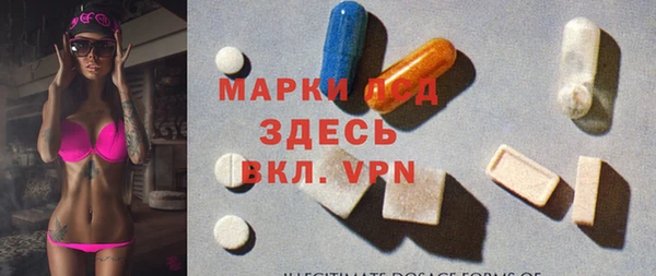 прущие грибы Нея