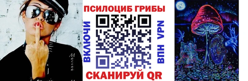 blacksprut зеркало наркотики Людиново Галлюциногенные грибы Psilocybine cubensis