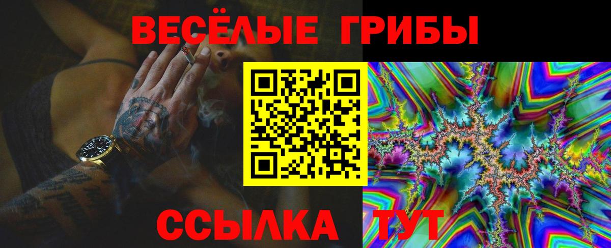 Людиново  Галлюциногенные грибы Cubensis  Вход с VPN  Псилоцибиновые грибы Psilocybine cubensis 
